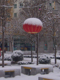 八月十五雲遮月，正月十五雪打燈