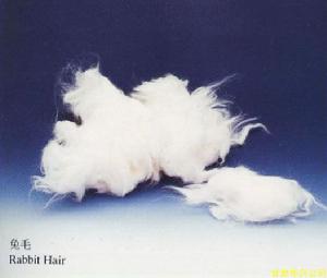 兔毛
