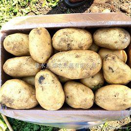 希森3號 希森3號