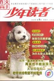 《少年讀者》 《少年讀者》