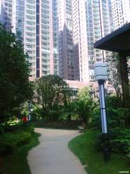 和諧世紀 和諧世紀