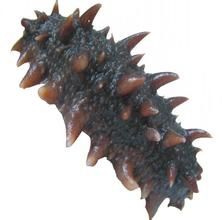 米糰海參 米糰海參