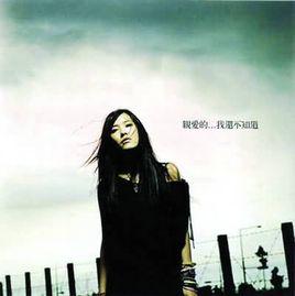 模樣[張懸演唱歌曲]