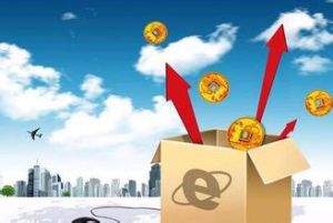 國內貸款 國內貸款