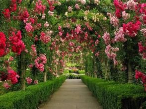 法國花園 法國花園