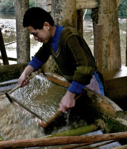 土法造紙 土法造紙
