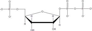 磷酸核糖焦磷酸