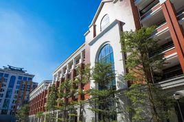 碧湖中學 碧湖中學