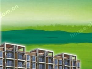 泉城小區 泉城小區