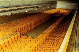 放射性固體廢物的放射特性鑑定 放射性固體廢物的放射特性鑑定