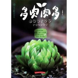 多肉肉多 多肉肉多