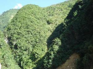 上坪子村[雲南省瀘水縣大興地鄉上坪子村]