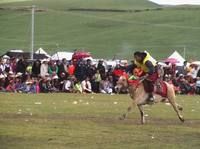 八一國際賽馬會