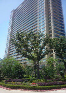 啟東綠城玫瑰園 啟東綠城玫瑰園