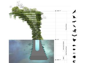 為鳥類等小型動物提供一個天然棲息地