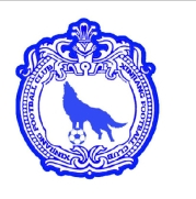 新疆海棠足球俱樂部 新疆海棠足球俱樂部