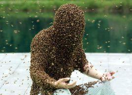 江西“第一蜂人”