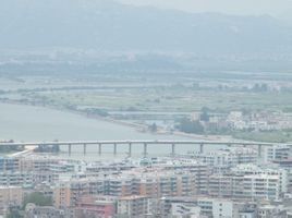 濠江大橋 濠江大橋