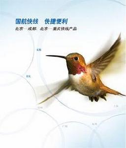 國航快線 國航快線