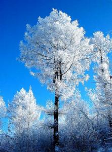 科爾沁右翼前旗