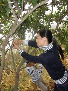 福建農業職業技術學院