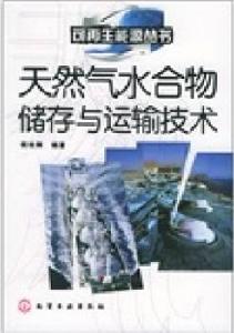 天然氣水合物儲存與運輸技術 天然氣水合物儲存與運輸技術