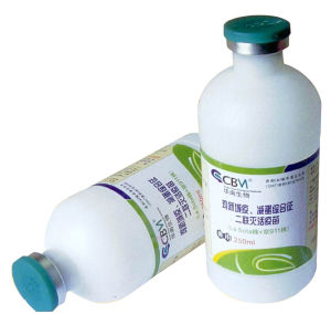 雞新城疫疫苗 雞新城疫疫苗