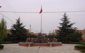 孫正西村 孫正西村