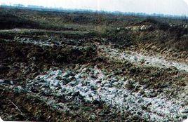 土壤次生礦物 土壤次生礦物