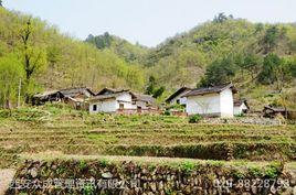 車灣村[湖南省宜章縣白石渡鎮下轄村]