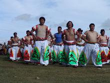 河南蒙古族自治縣