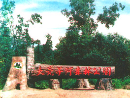 大亮子河國家森林公園