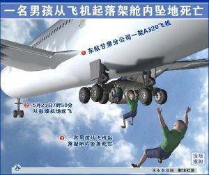 圖表：一名男孩從飛機起落架艙內墜地死亡