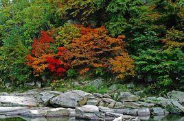 響水寺風景區 響水寺風景區