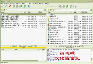 FlashFXPV3.4.1Build1148漢化版