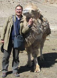 阿布都·哈德 阿布都·哈德