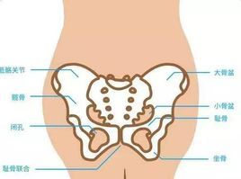 孕婦恥骨痛 孕婦恥骨痛