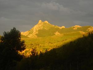 黑里河自然保護區 黑里河自然保護區