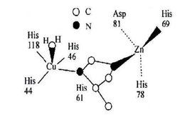 超氧化歧化酶