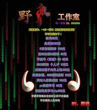 野狼工作室 野狼工作室