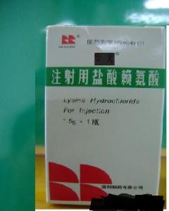 鹽酸賴氨酸