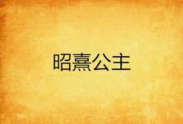 昭熹公主 昭熹公主