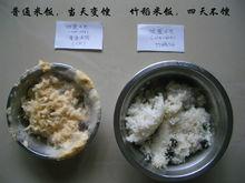 竹稻米抗氧化能力較強