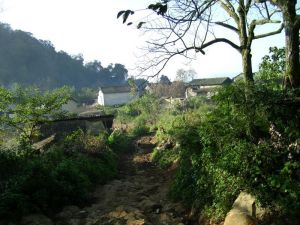 秧補新寨村 秧補新寨村