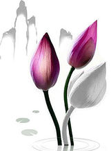 建網站籌劃工作