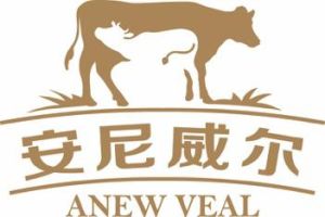 安尼威爾 安尼威爾