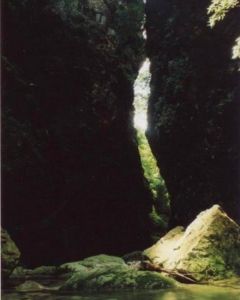 翠泉國家森林公園 翠泉國家森林公園