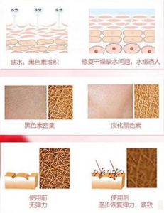 女神泡泡使用步驟