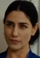 列車上的女孩[安德列·泰西內執導的電影]