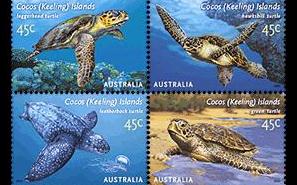 （圖）科科斯群島海洋生物紀念郵票